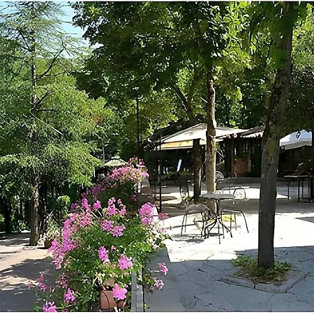 Pineta Cerreto dʼEsi