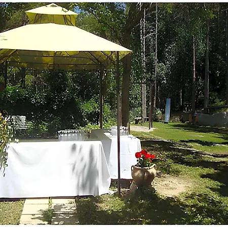 Pineta 3*