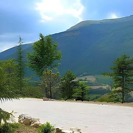 Pineta