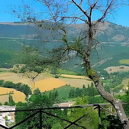 Pineta Hotel 3*